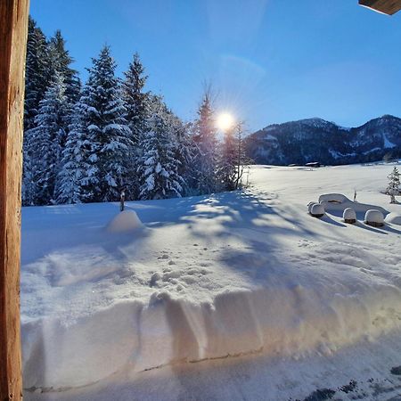 Zeitfrei Chalet Apartments Fieberbrunn Exteriör bild